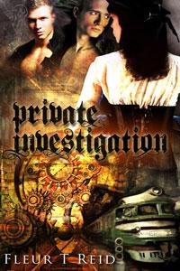 Private Investigation by Fleur T Reid